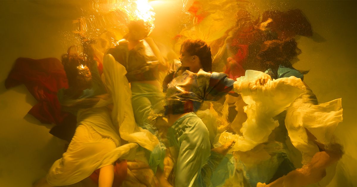 Công bố các tác phẩm chiến thắng giải thưởng Sony World Photography năm 2019