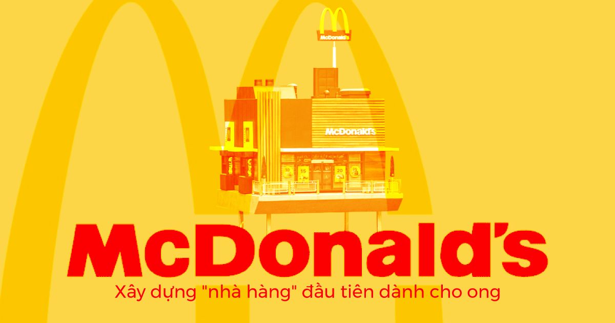 McDonald xây dựng "nhà hàng" đầu tiên dành cho ong