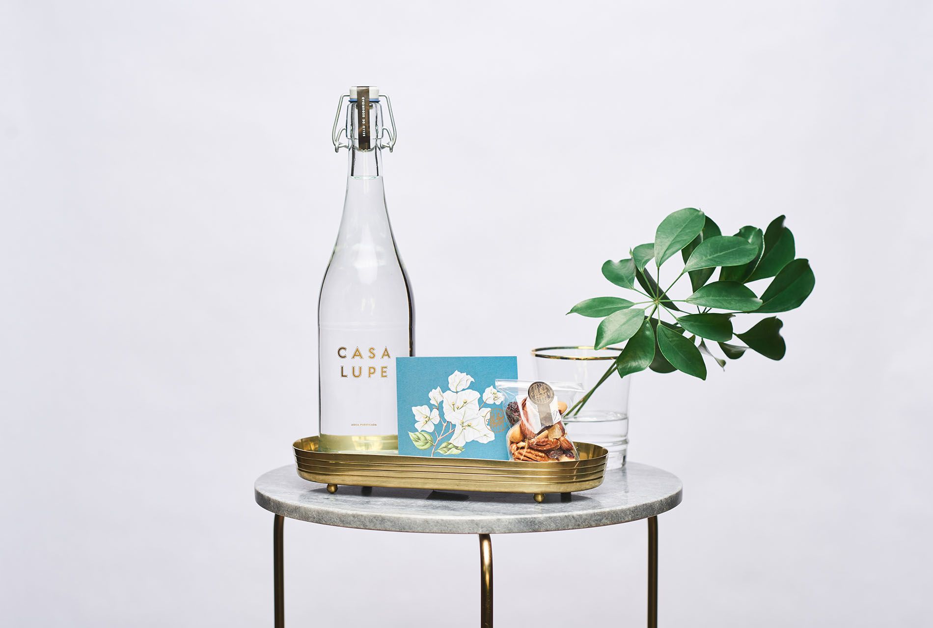 Bộ nhận diện thanh tao cho Airbnb Casa Lupe tại Mexico