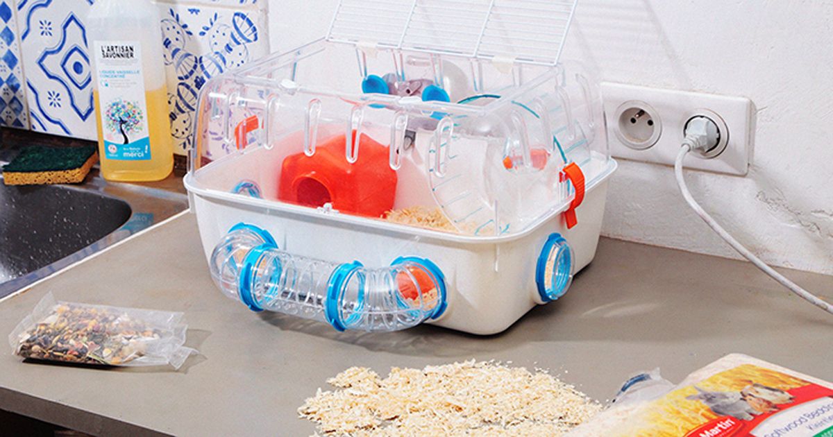 Cảm giác 'quen thuộc mà vẫn vần khám phá thêm' của những chiếc hồ cá trong bộ sưu tập Aquarium Hobby