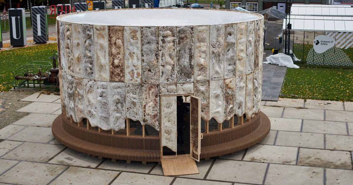 Growing Pavilion - Căn nhà lều hoàn toàn từ tự nhiên  với sợi nấm, gỗ và vật liệu nông nghiệp thừa