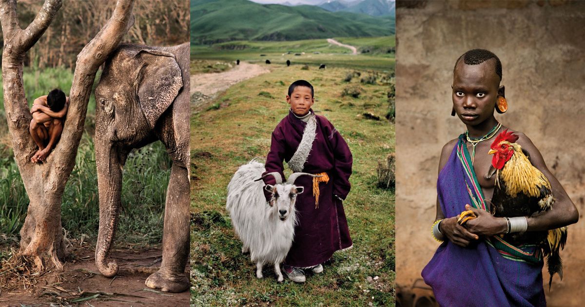 Mối thân tình giữa con người và động vật trên khắp hành tinh qua lăng kính của Steve McCurry