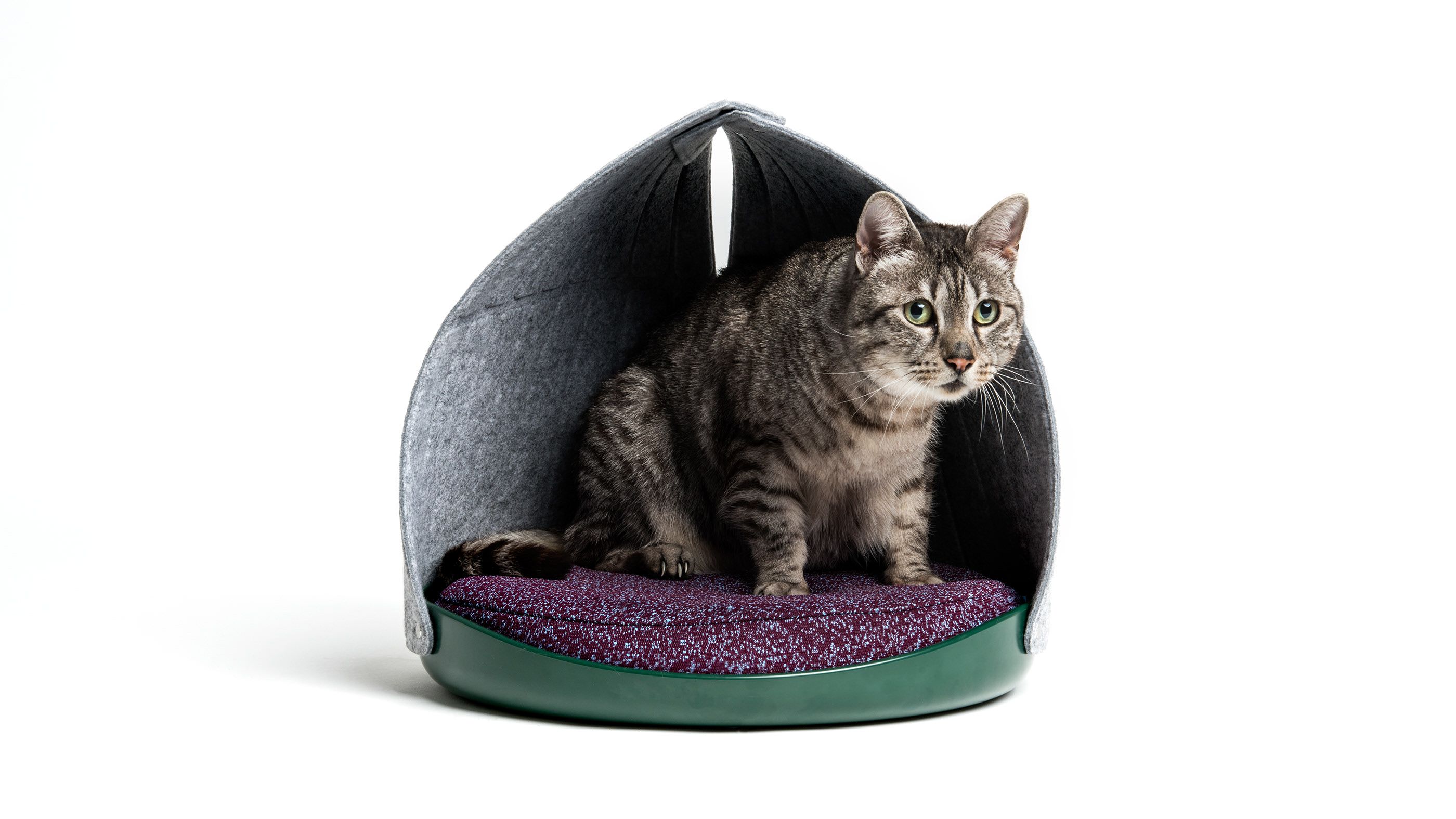 CAT PERSON - nội thất đúc kết từ hành vi của mèo