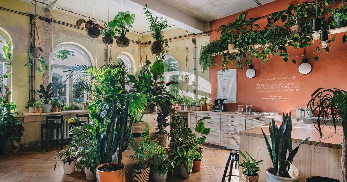 House of Tomorrow: IKEA biến đổi căn nhà thành những thực thể sống cùng phát triển với con người