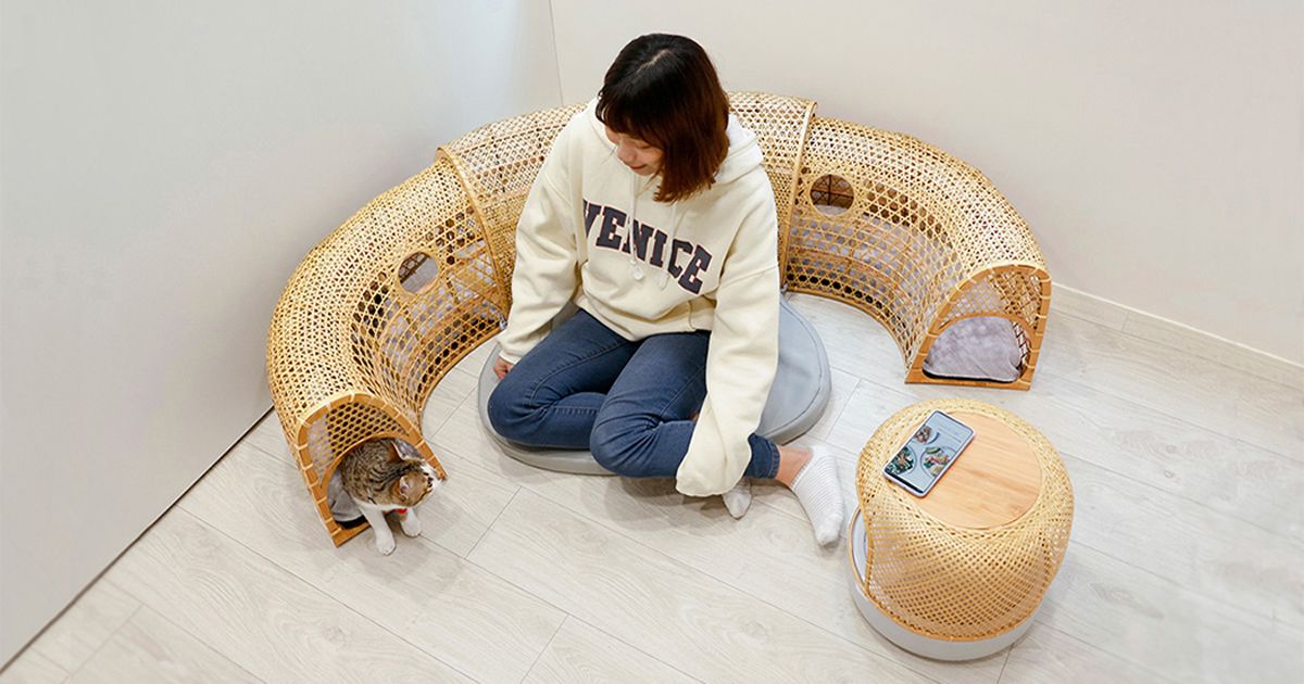 Kết hợp không gian chơi cho mèo vào sofa với ý tưởng 'tương tác thụ động'
