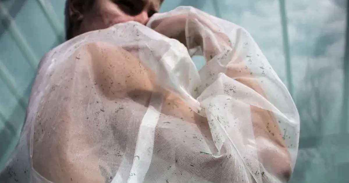 Biogarmentry: đem lại 'hơi thở' cho quần áo và thay đổi hành vi tiêu dùng thông qua cảm xúc