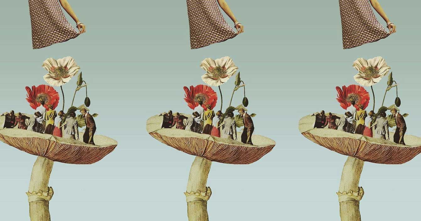 Nấm, Thế giới Cổ tích và Alice ở Xứ sở Thần tiên (phần 1): Cuộc 'đi cảnh' đầu tiên được ghi nhận