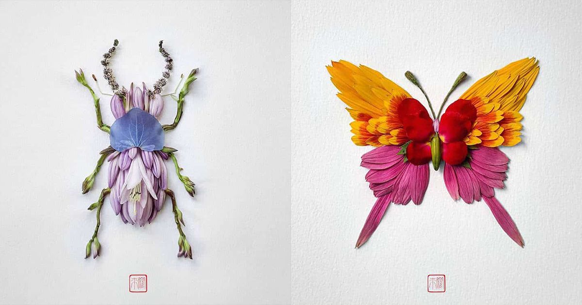 Natura Insects - Chế tác các loài côn trùng từ những bông hoa đầy màu sắc