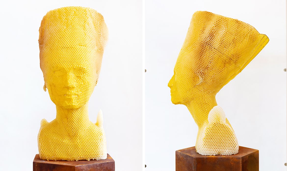 Tomáš Libertíny hợp tác cùng 60.000 con ong để tái tạo bức tượng bán thân của Nefertiti từ sáp ong và tổ ong
