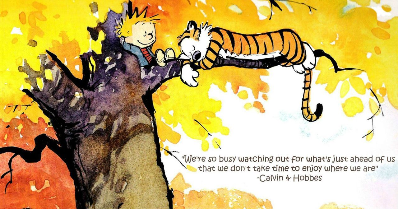 Bạn sáng tạo vì đâu? Như ‘Garfield’ hay ‘Calvin and Hobbes’?