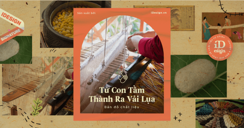 |Bản đồ chất liệu| Lịch sử con tằm và quy trình làm nên chất vải lụa sang trọng