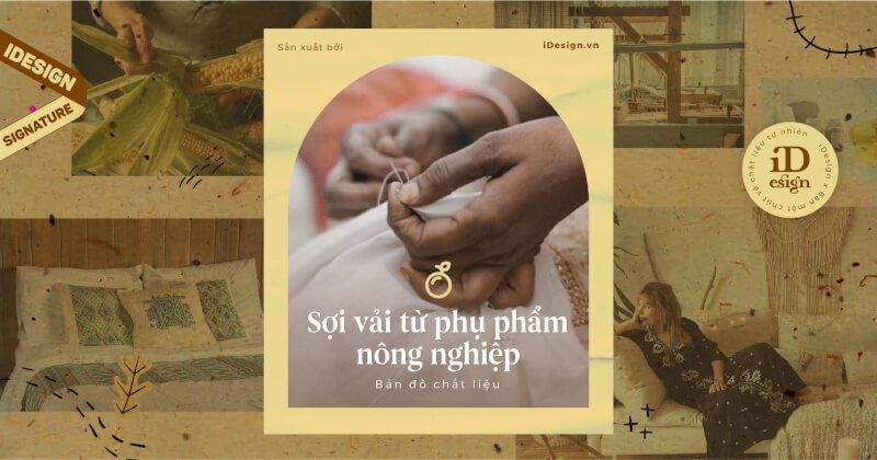 |Bản đồ chất liệu| Những sợi vải sinh ra từ phụ phẩm nông nghiệp