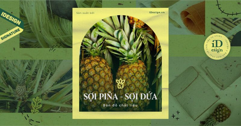 |Bản đồ chất liệu| Sợi Piña - Chất liệu của giới thượng lưu Philippines