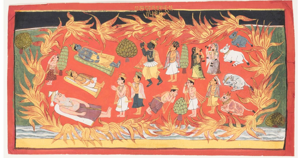 Khi khu rừng cháy