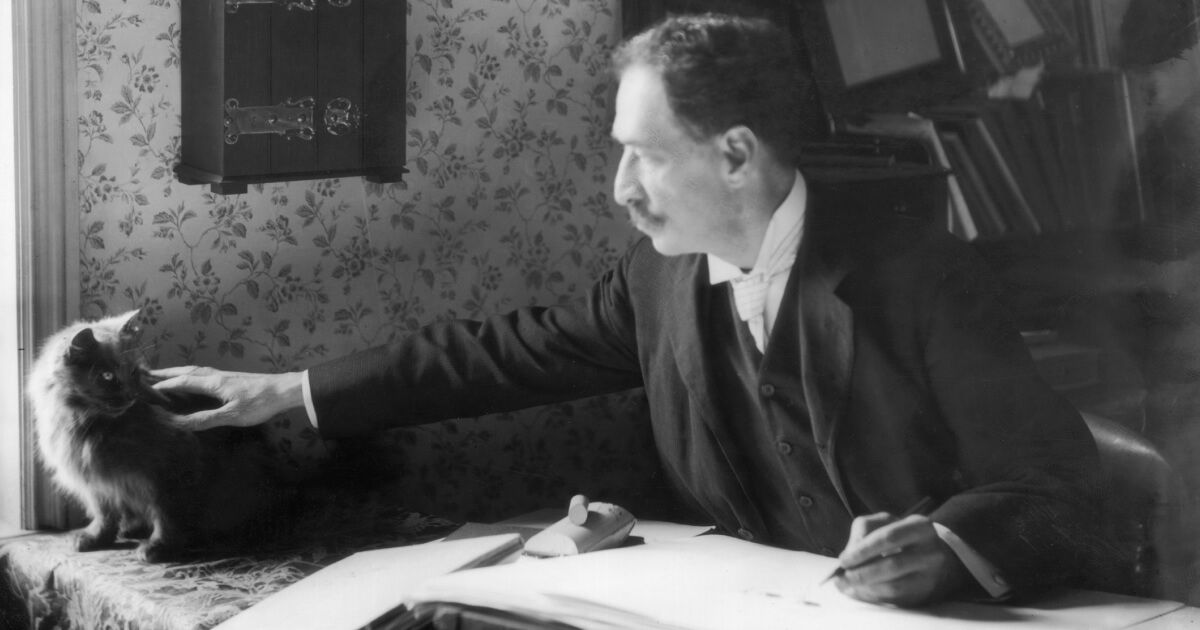 /meo meo/ Mèo và cuộc đời bi kịch của Louis Wain