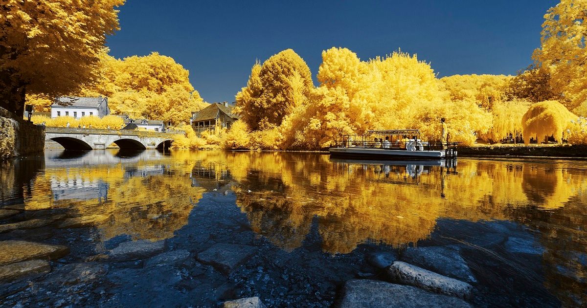 iDesign | Lạc vào thế giới khác qua bộ ảnh thiên nhiên màu vàng của NAG  người Pháp