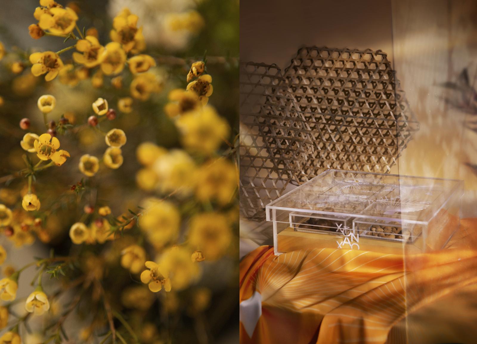 iDesign Hé lộ hình ảnh ‘ETERNAL BLOOM’ Quà tặng ý nghĩa dành cho