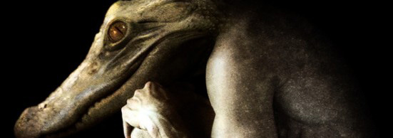 8 sinh vật của Francesco Sambo