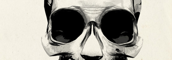 Những hình minh họa lấy cảm hứng từ đầu lâu