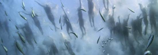 Ảnh báo chí thế giới 2011