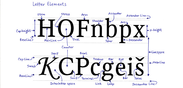 Thuật ngữ Typography