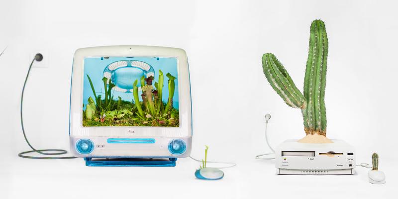 Christophe Guinet - trồng cây trong máy tính Apple