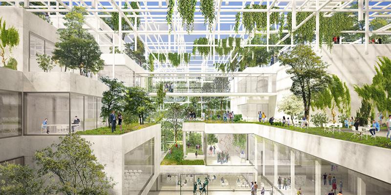Dự án biến Trung tâm khoa học ở Ba Lan thành vườn tầng