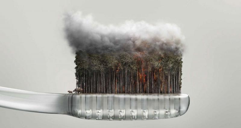 Stop the Haze - Chiến dịch ngăn chặn ô nhiễm khói bụi của WWF