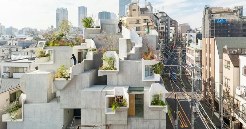 Tree Ness House - Nghệ thuật của kiến trúc lộn xộn