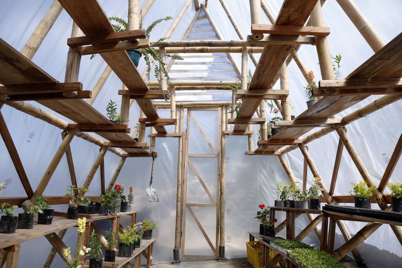 Mô hình nhà kính trồng rau hữu cơ thúc đẩy tạo việc làm tại Ecuador