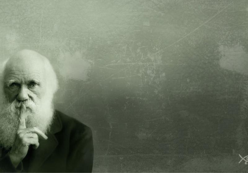 Darwin đã trở thành cha đẻ độc nhất của thuyết tiến hoá như thế nào?