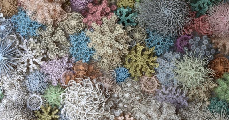 Đắm chìm trong tác phẩm vi sinh vật và san hô được cắt dán tỉ mỉ từ giấy