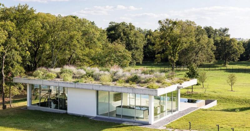 Phủ xanh mái nhà ở Texas bằng cây bản địa