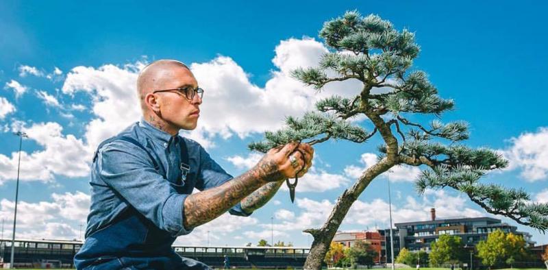 Nhóm nghệ sĩ dành cả đời để trồng cây bonsai