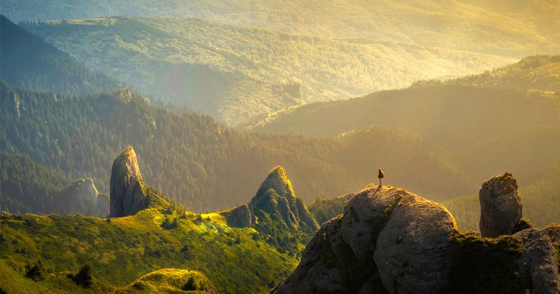 Triết lí của việc chu du: Sức sáng tạo được sinh ra khi ta di chuyển