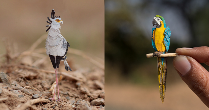 365 Days of Miniature: Bộ sưu tập các loài chim sống động từ giấy của hai nghệ sĩ Ấn Độ
