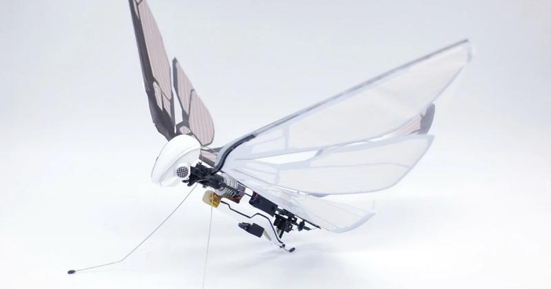 MetaFly: Tương lai mới của thiết bị bay trên không