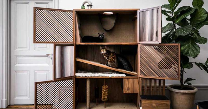 Cat Flat: Hộc tủ hay sân chơi cho mèo? Khi nhà tâm lý học về mèo và thiết kế nội thất kết hợp