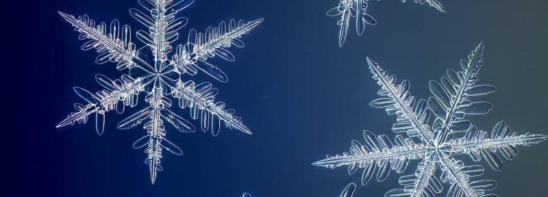 Cận cảnh vẻ đẹp phức tạp của các tinh thể băng qua chiếc máy ảnh chụp bông tuyết có độ phân giải cao nhất thế giới