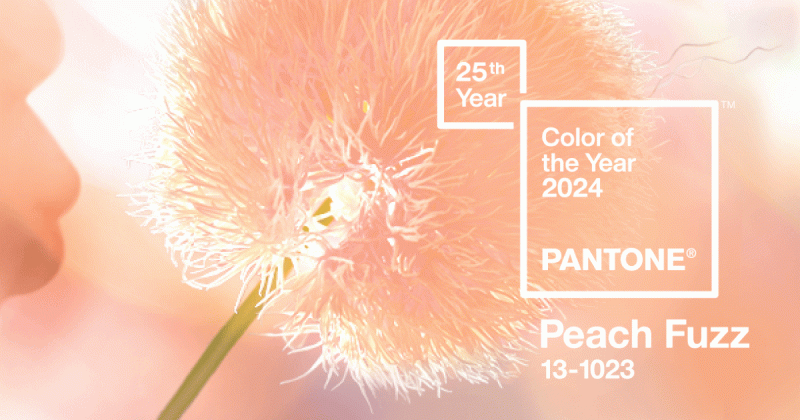 PANTONE 13-1023 Peach Fuzz - Màu sắc tượng trưng cho lòng nhân ái và sự kết nối của con người