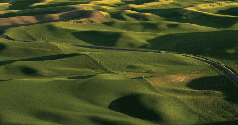 Những mảng xanh trùng điệp yên bình của vùng đất nông nghiệp Palouse 